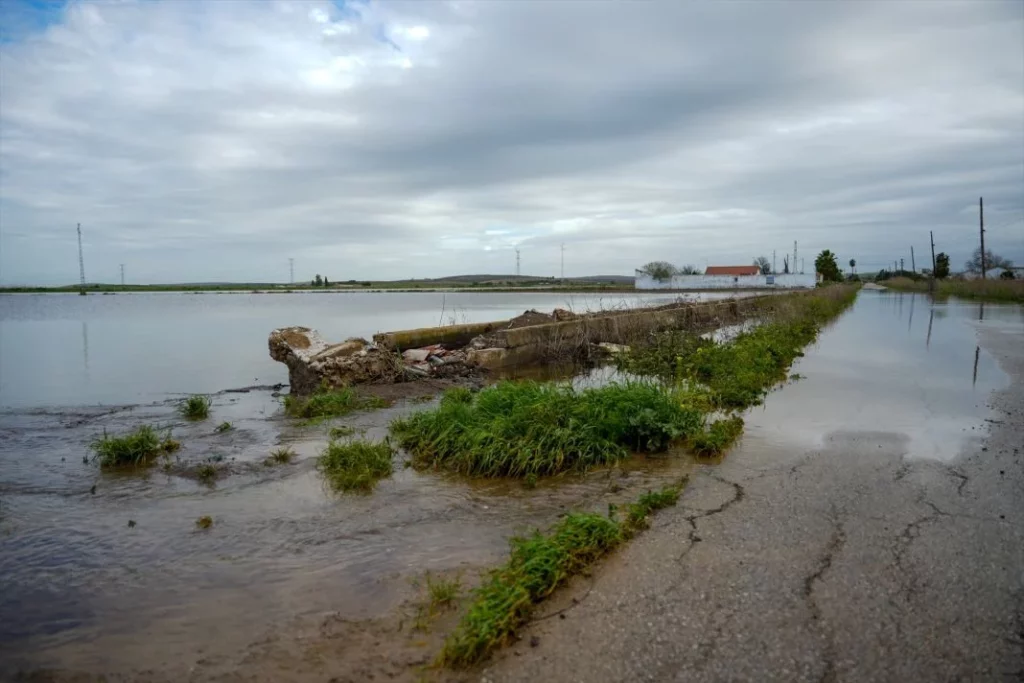 La DGT pone en marcha la Operación Semana Santa: 5.600 agentes y más controles en las carreteras 3 Motor16 EuropaPress 6592662 imagenes inundaciones palmar troya 20 febrero 2025 palmar troya sevilla Motor16