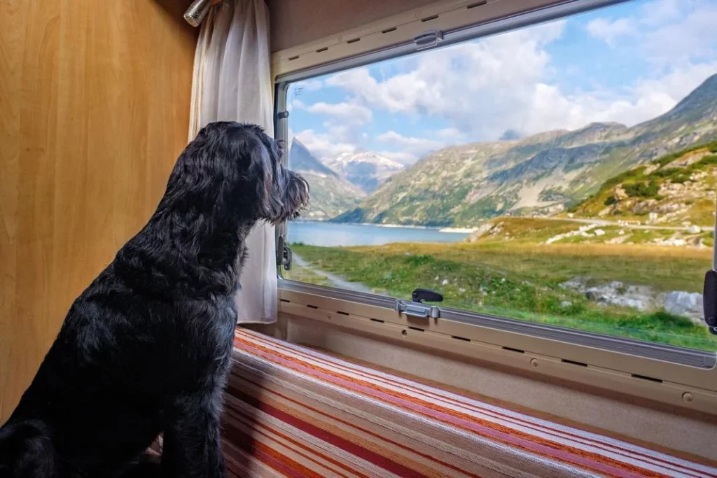 autocaravana
