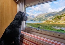 ¿Dónde puedo aparcar mi autocaravana o camper? La DGT te lo aclara de forma rápida y sencilla