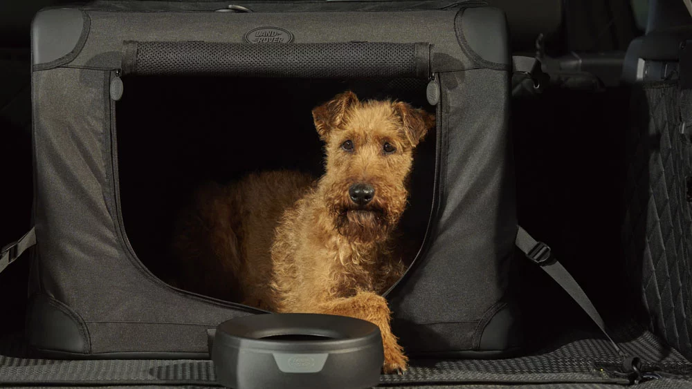 Tempest y Gemini, el Land Rover Discovery se hace aún más especial con estas dos ediciones 7 Motor16 DISCOVERY ACCSESSORY PACK FOR DOGS 140525 01 Motor16