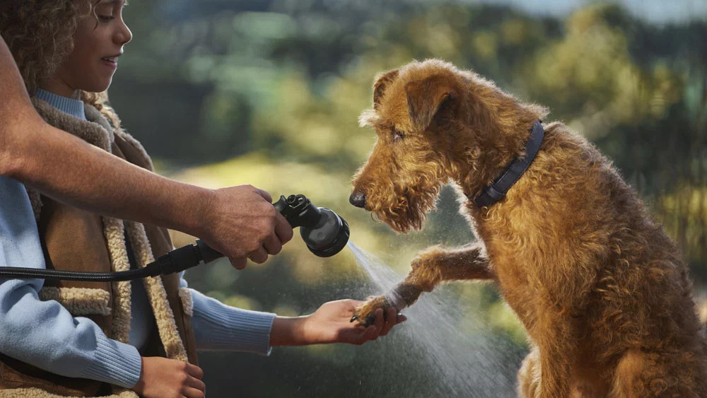 Tempest y Gemini, el Land Rover Discovery se hace aún más especial con estas dos ediciones 8 Motor16 DISCOVERY ACCSESSORY PACK FOR DOGS 140525 02 Motor16