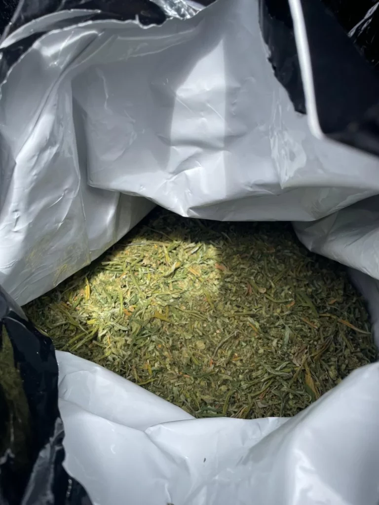 Los Mossos d'Esquadra paran a una furgoneta en un control rutinario y alucinan con lo que encuentran 1 Motor16 Drogas Mossos d'Esquadra