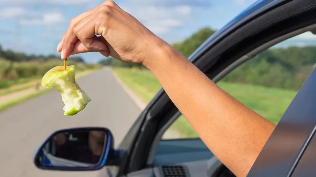 Arrojar objetos carretera DGT