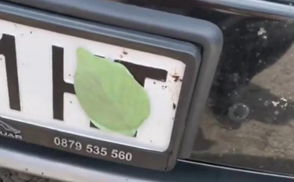 6.000 euros y 6 puntos: la multa que te puede caer por llevar así la matrícula delantera de tu coche 2 Motor16 Imán con hoja para tapar la matrícula del coche