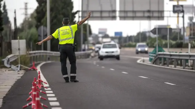 Guardia Civil tetrápodos
