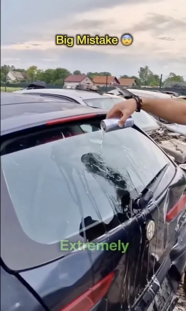 red bull coche bebida