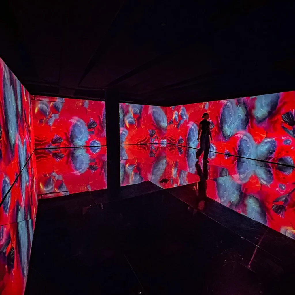 TVBoy presenta sus "Besos prohibidos" en el Cupra City Garage de Madrid 3 Motor16 Cupra Fronteras digitales de la imagen4 Motor16