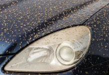 Viaja más seguro: Cómo limpiar los faros de mosquitos y suciedad con tres productos que tienes en tu despensa