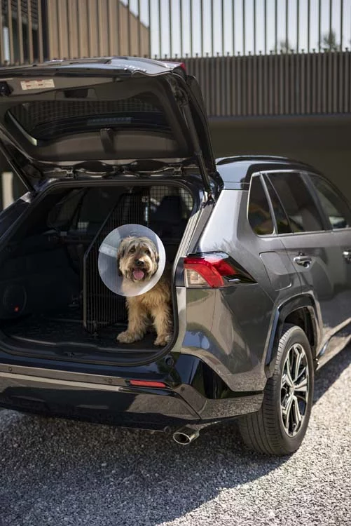 Toyota y su gama de accesorios para que disfrutes en vacaciones sin sobresaltos 7 Motor16 Toyota y su gama de accesorios 2 Motor16