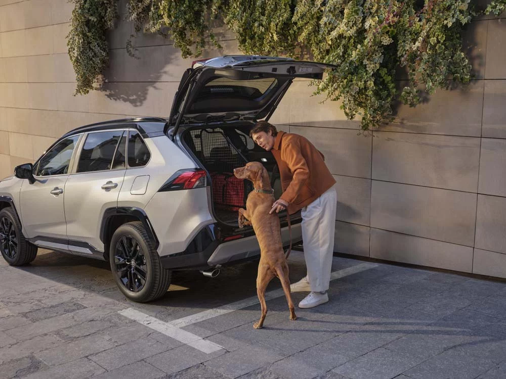 Toyota y su gama de accesorios para que disfrutes en vacaciones sin sobresaltos 3 Motor16 Toyota y su gama de accesorios enfocada a las mascotas