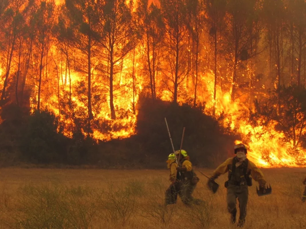 Incendio bosque