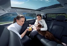 JAECOO 5: El detalle que hace a este SUV un coche a prueba de mascotas