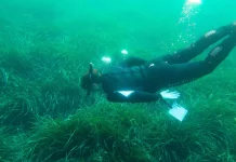 El motivo que lleva a OMODA & JAECOO a explorar el fondo marino de Almería