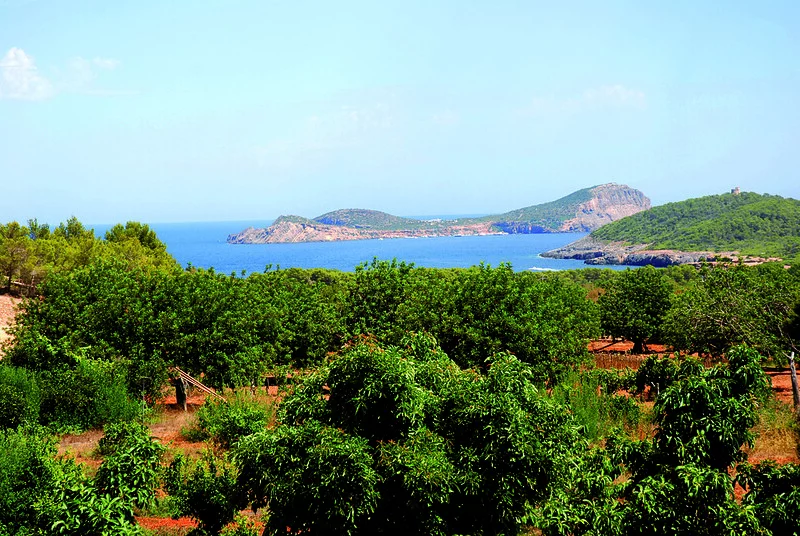 ibiza tasa circular