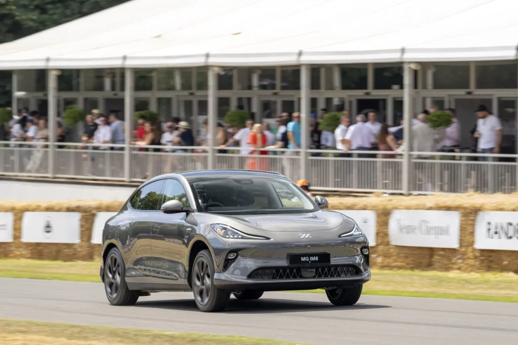MG IM 6 6 Motor16