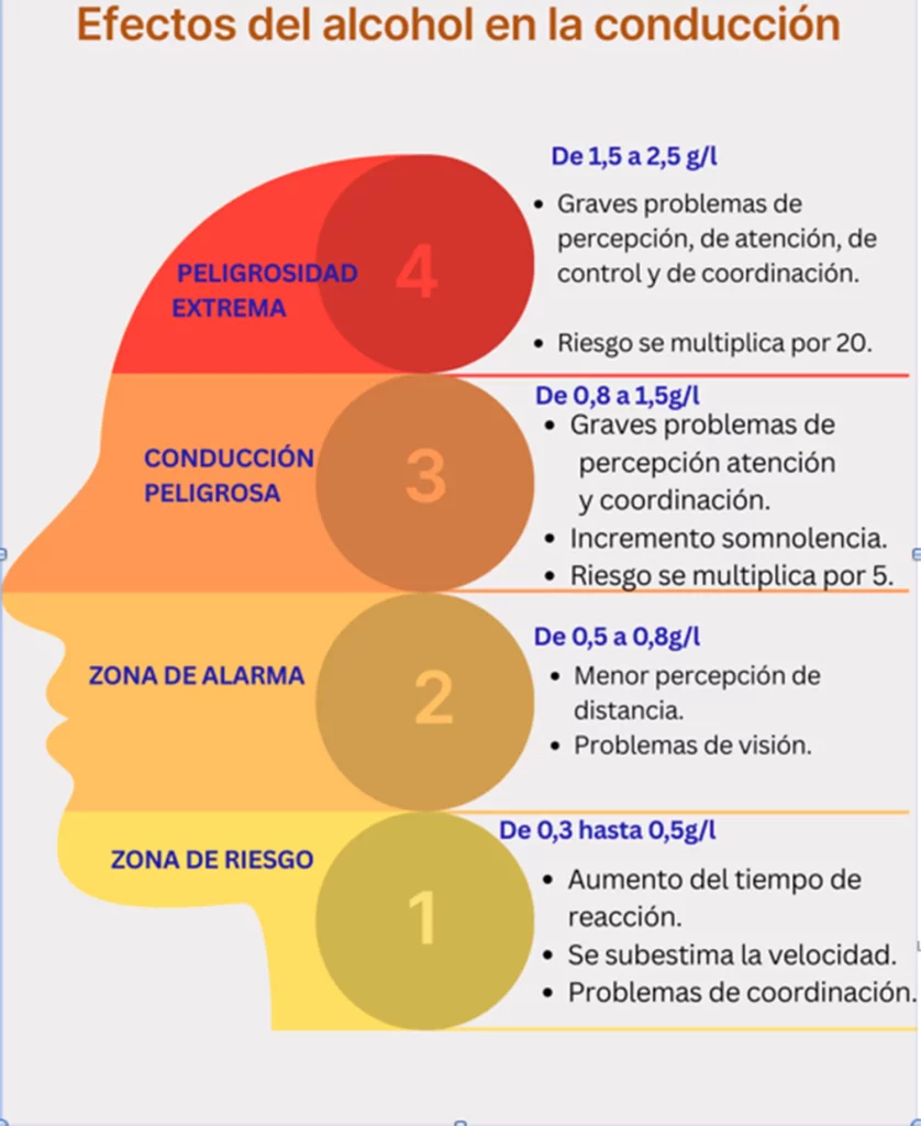 efectos del alcohol en la conducion Motor16