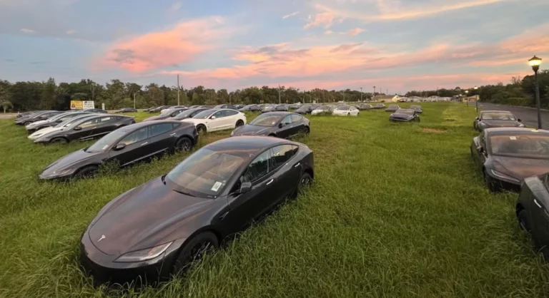 Se compra un Tesla a estrenar y alucina cuando descubre donde ha estado aparcado junto con otros 100