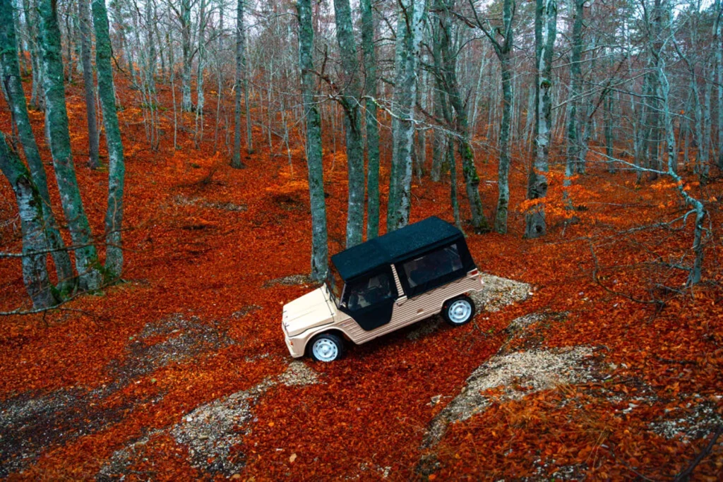 CITROEN MEHARI ECLASSIC CARS 10 Motor16