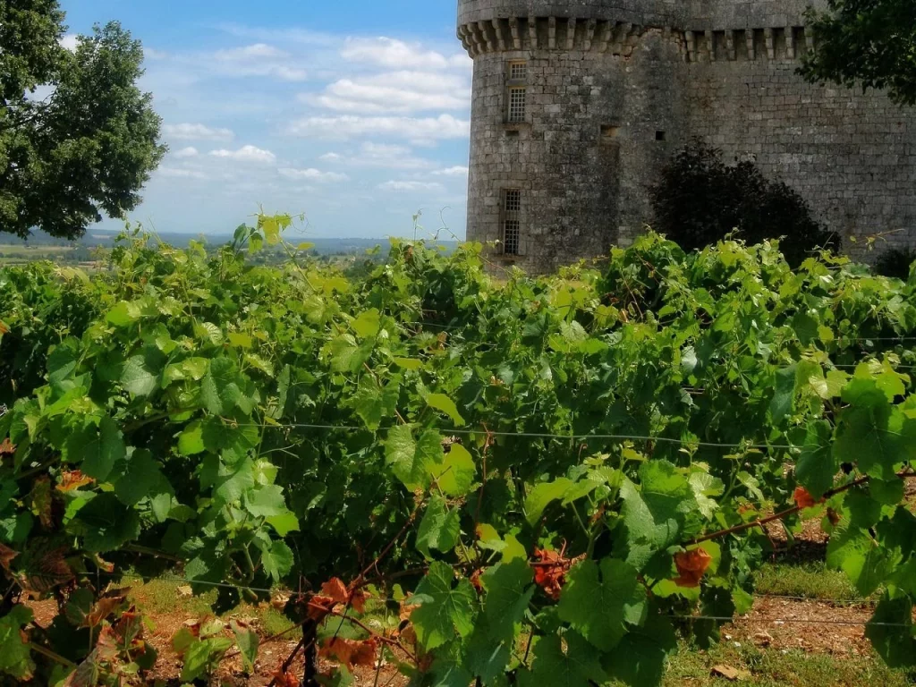 Francia Dordona Motor16