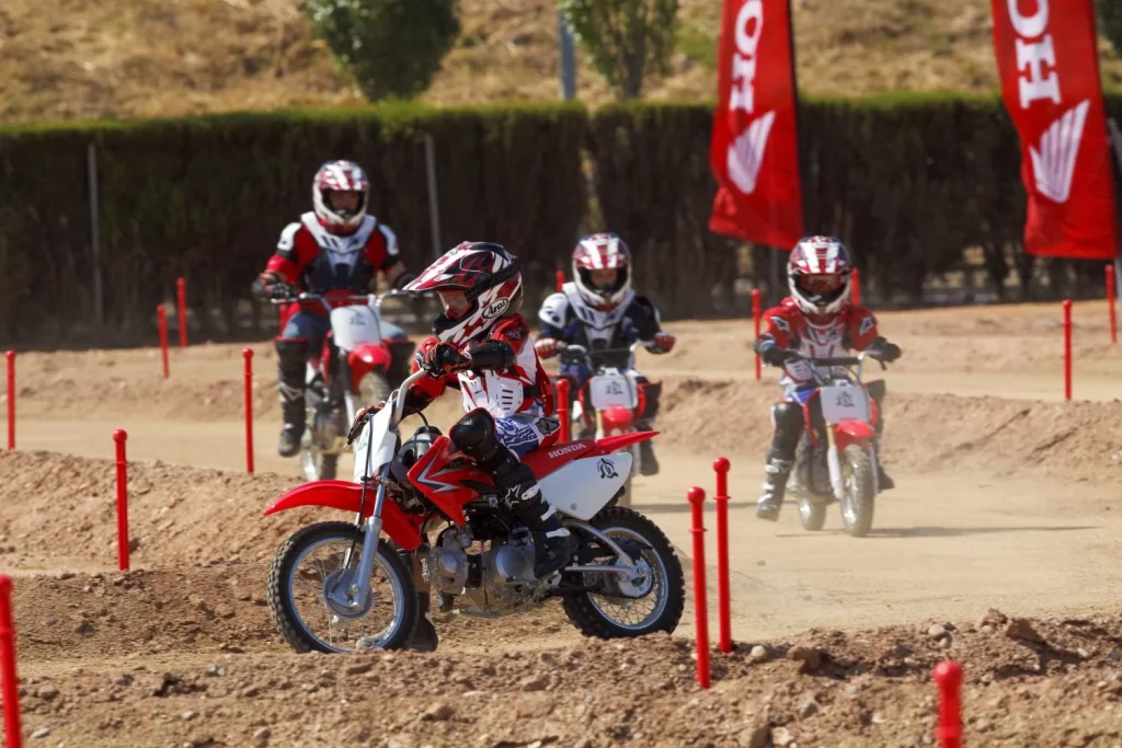 Honda Instituto de Seguridad HIS 15 Motor16