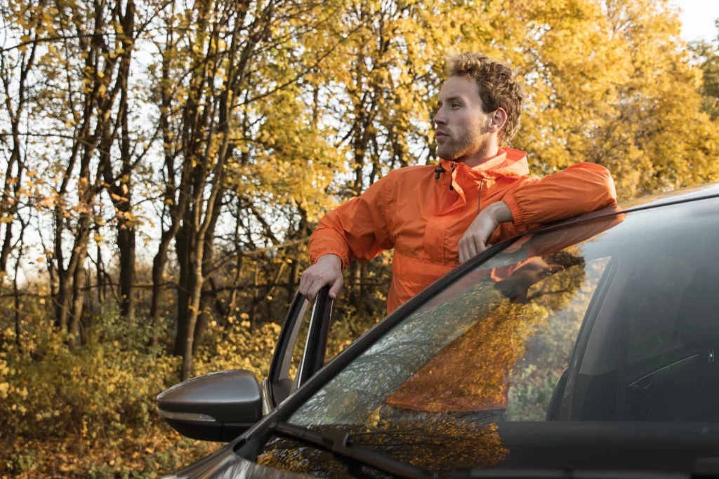 revisar coche otoño