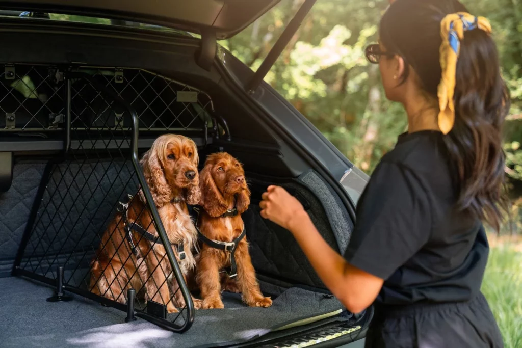 2025 Bentley Bentayga accesorios mascotas. Imagen maletero.