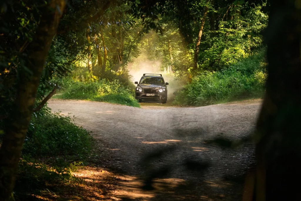 2025 Bentley Bentayga accesorios mascotas. Imagen.