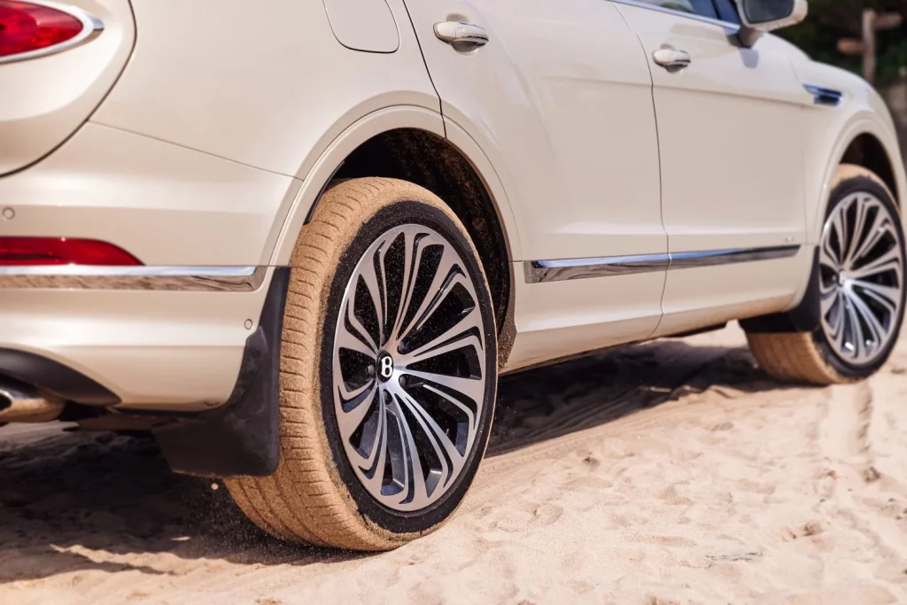 2025 Bentley Accesorios Mascotas y mas 7 Motor16