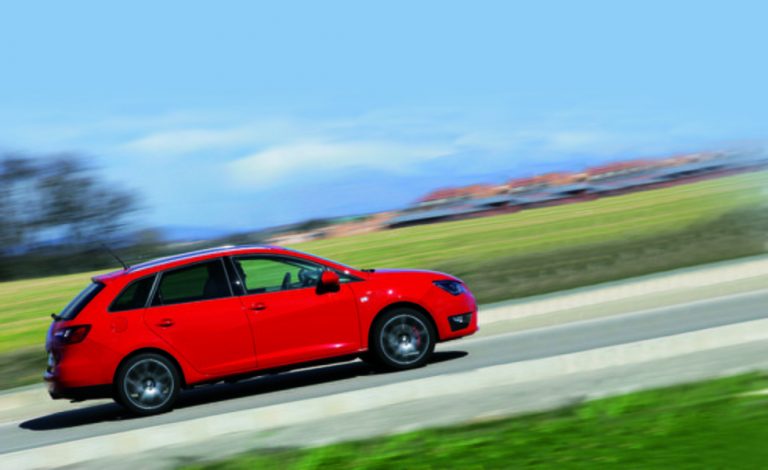 Volkswagen y el Seat Ibiza, líderes