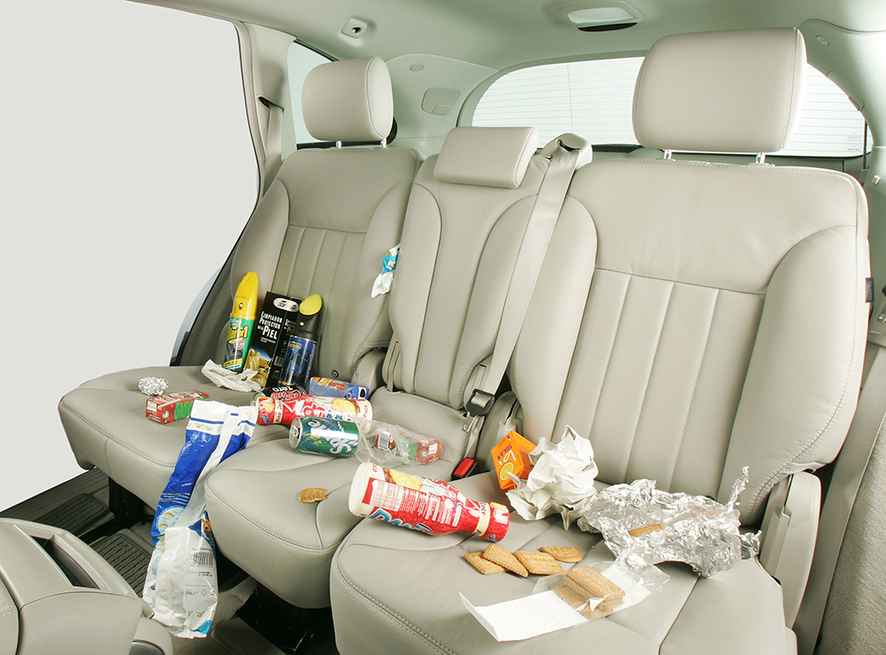 Bacterias en el coche.