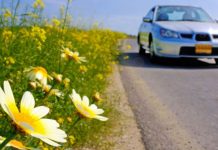 La primavera ha llegado: consejos para mejorar la visión cuando conduces