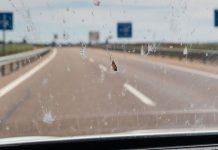 Menos de 1 euro te costará el remedio casero para eliminar los mosquitos de tu coche a la perfección