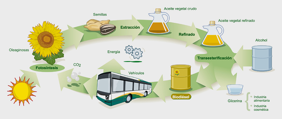 REM16 Biocombustible 09 Motor16