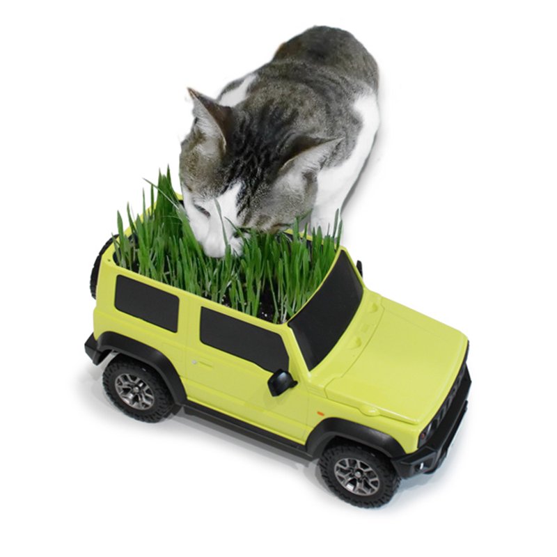 2023 suzuki jimny panuelos caja 6 Motor16