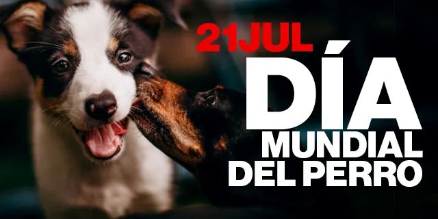 imagen 2023 07 21 120431655 Motor16