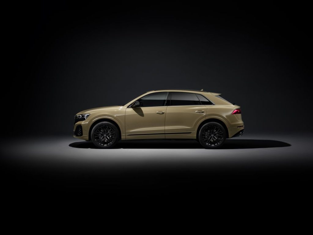 Audi Q8 2024 (97)
