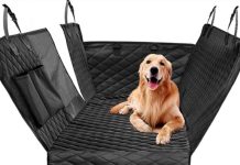 Amazon: productos esenciales para nuestras mascotas por menos de 20 euros