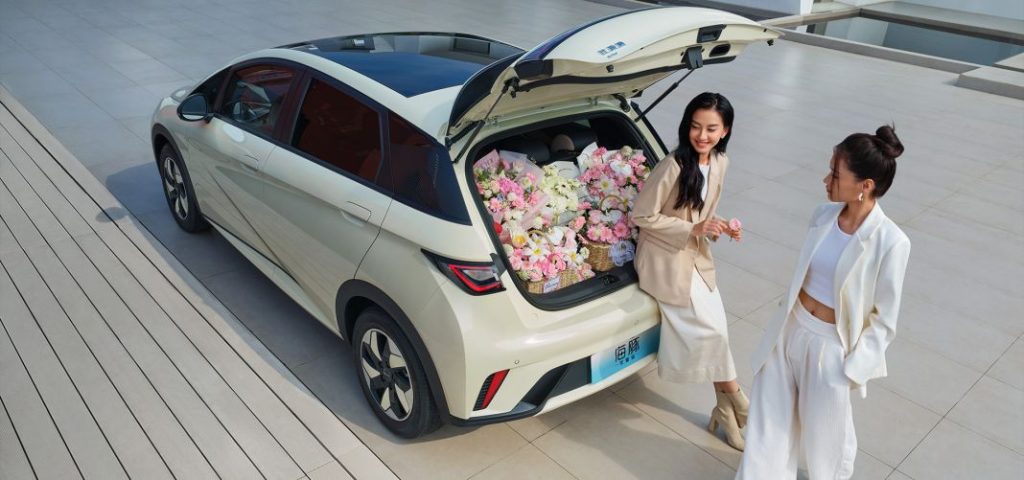 2024 BYD Dolphin China 19 Motor16