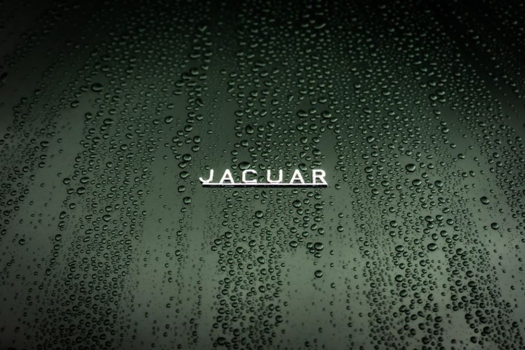 Jaguar E Type Collection 38 Motor16